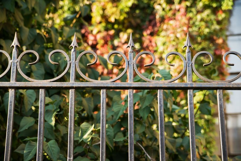 Ornamental Iron Fence Service detail